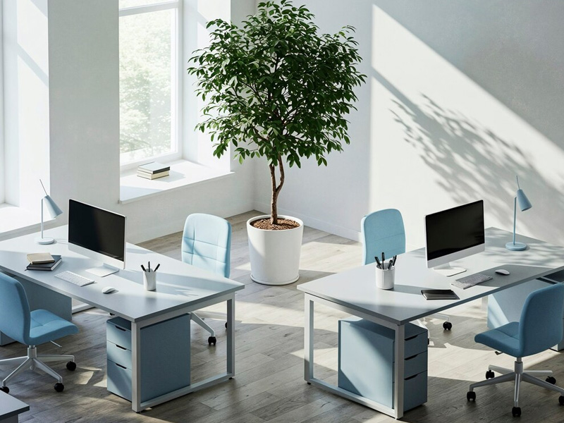 Office Equipment